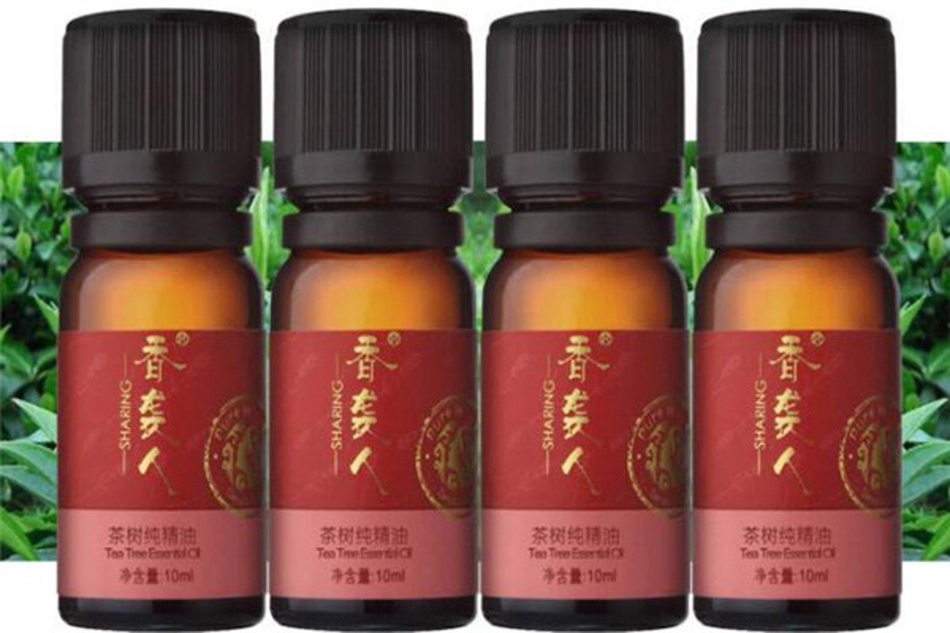 香袭人精油
